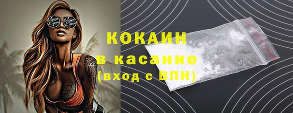 индика Семилуки
