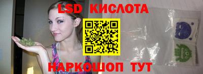 PSILOCYBIN Можга
