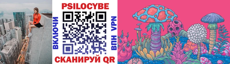 Галлюциногенные грибы Psilocybine cubensis  Дзержинский 