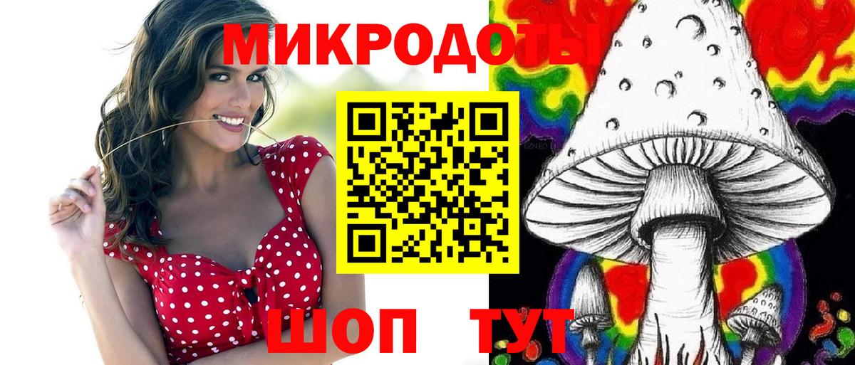 Дзержинский  Галлюциногенные грибы Psilocybe  Вход с VPN 